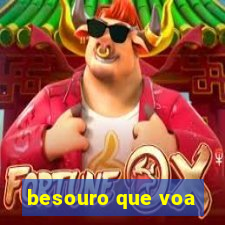 besouro que voa