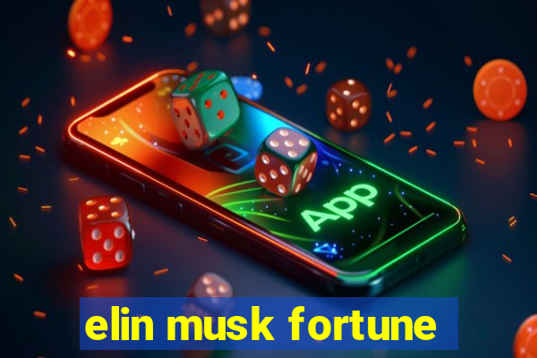 elin musk fortune