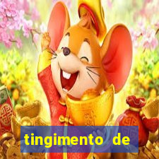 tingimento de roupas porto alegre