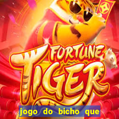 jogo do bicho que da dinheiro