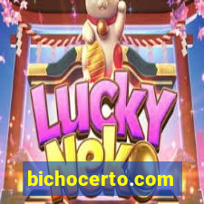 bichocerto.com