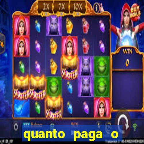 quanto paga o jungle fight