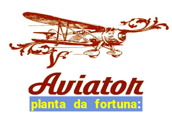 planta da fortuna: como cuidar