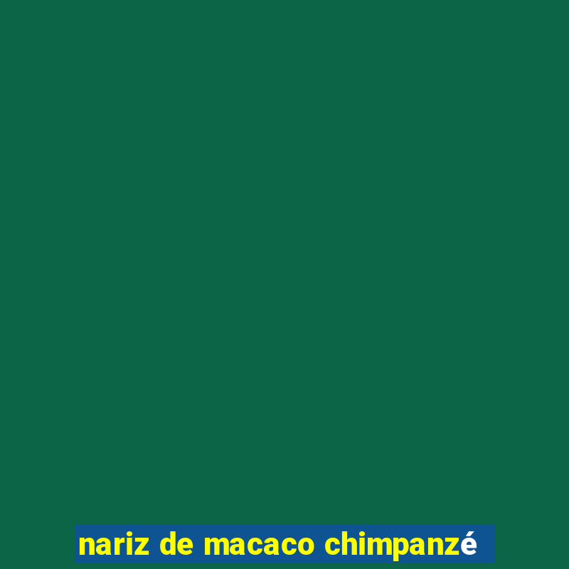 nariz de macaco chimpanzé