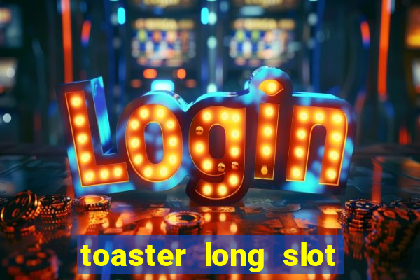 toaster long slot 2 slice