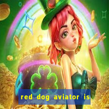 red dog aviator is real or fake