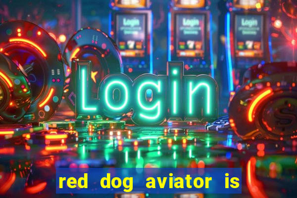 red dog aviator is real or fake