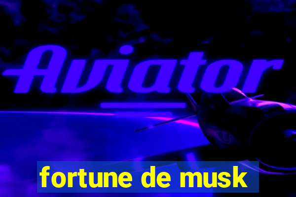 fortune de musk