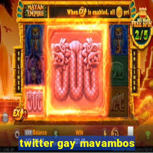 twitter gay mavambos