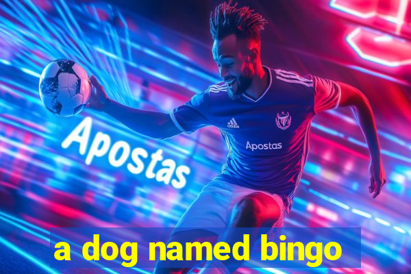 a dog named bingo