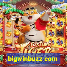 bigwinbuzz com