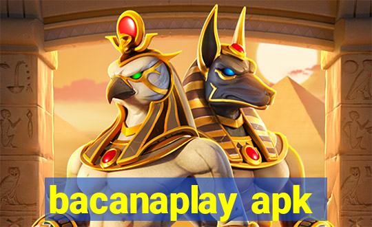 bacanaplay apk