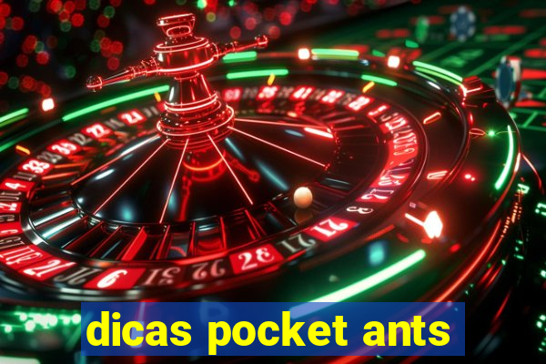 dicas pocket ants