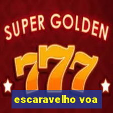 escaravelho voa