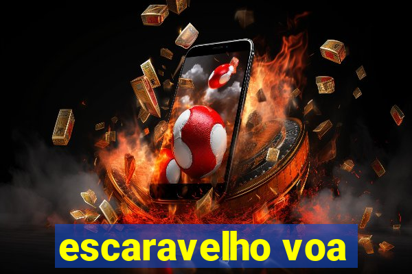 escaravelho voa