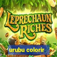 urubu colorir