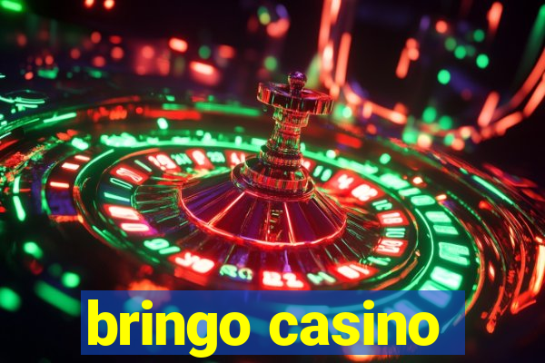 bringo casino