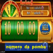 numero da pomba jogo do bicho