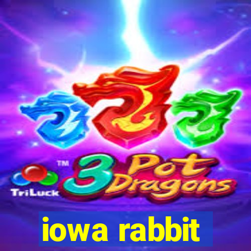 iowa rabbit