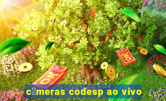 c芒meras codesp ao vivo