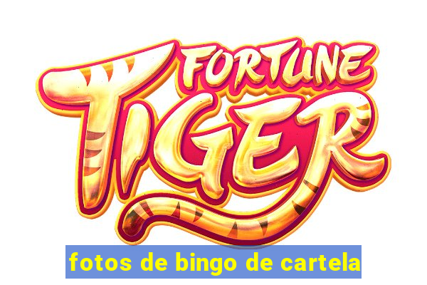 fotos de bingo de cartela