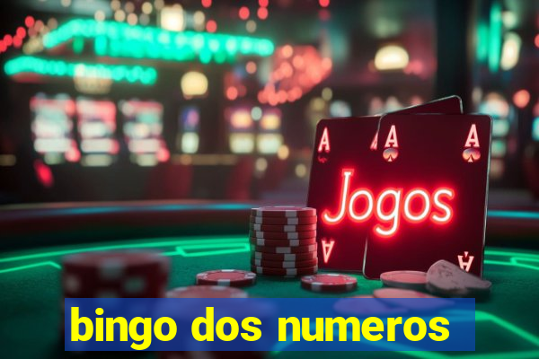 bingo dos numeros