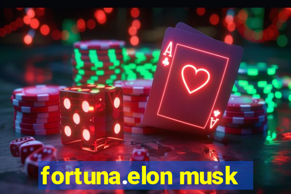 fortuna.elon musk