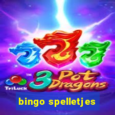 bingo spelletjes