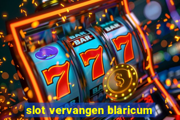 slot vervangen blaricum