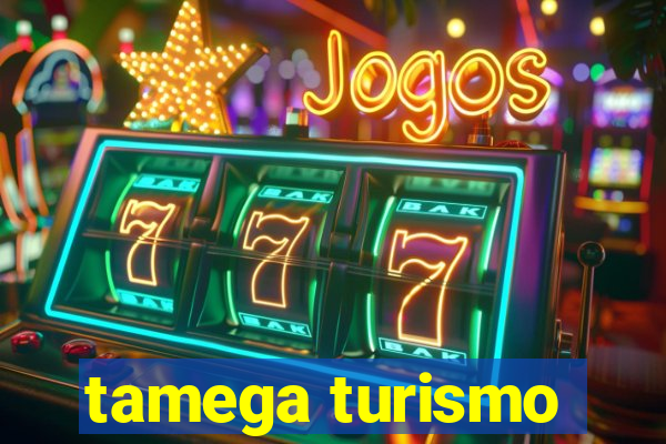 tamega turismo