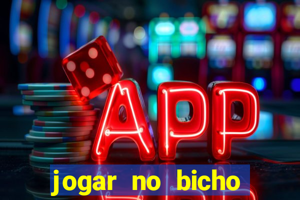 jogar no bicho online é seguro