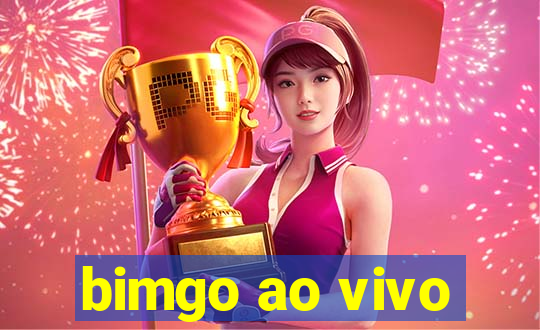 bimgo ao vivo