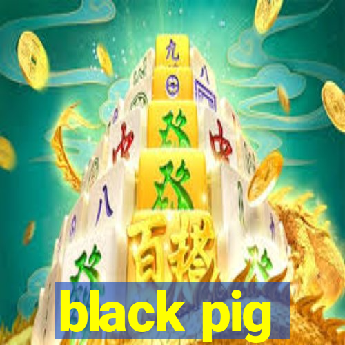 black pig