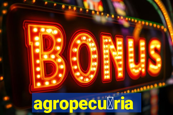 agropecu谩ria jaragua do sul