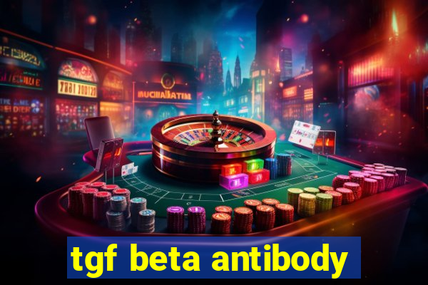 tgf beta antibody