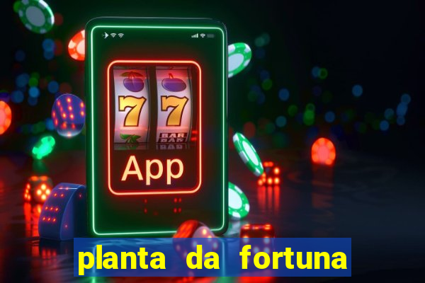 planta da fortuna e felicidade