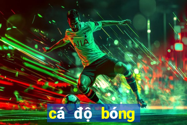 cá độ bóng đá online