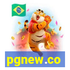 pgnew.co