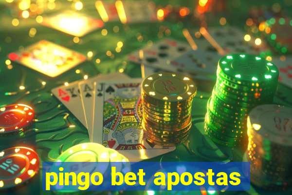 pingo bet apostas