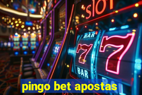 pingo bet apostas