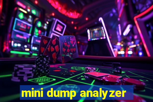 mini dump analyzer