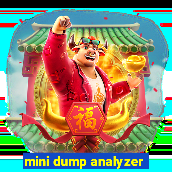 mini dump analyzer