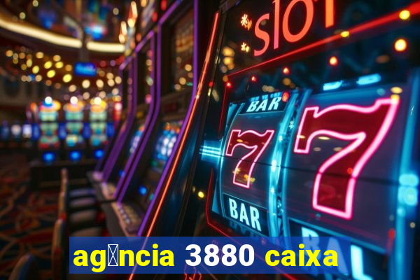 ag锚ncia 3880 caixa