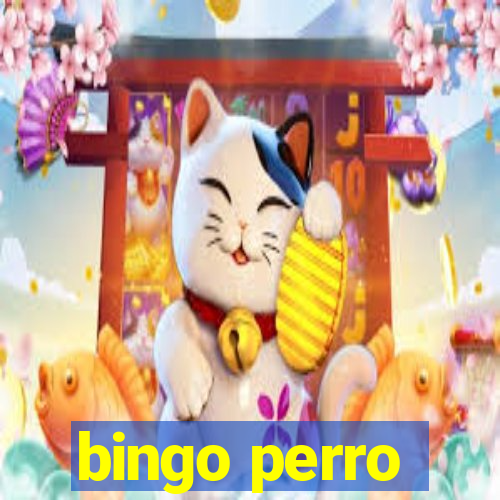 bingo perro