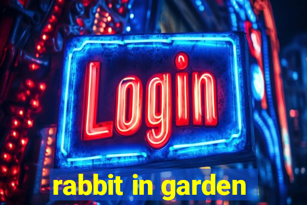 rabbit in garden