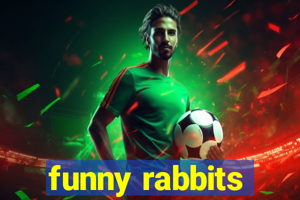 funny rabbits