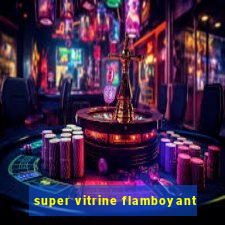 super vitrine flamboyant