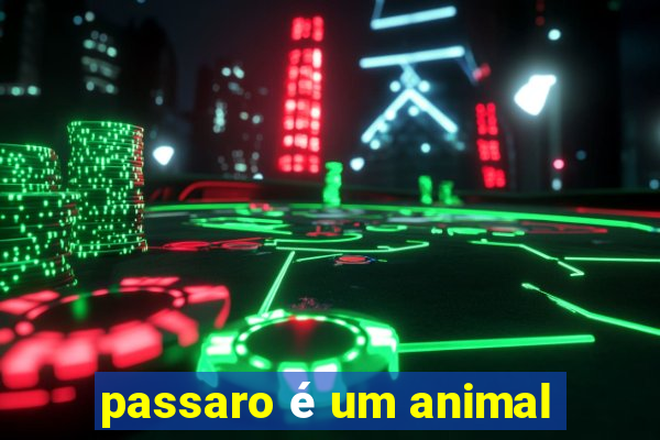 passaro é um animal