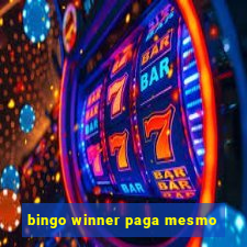 bingo winner paga mesmo