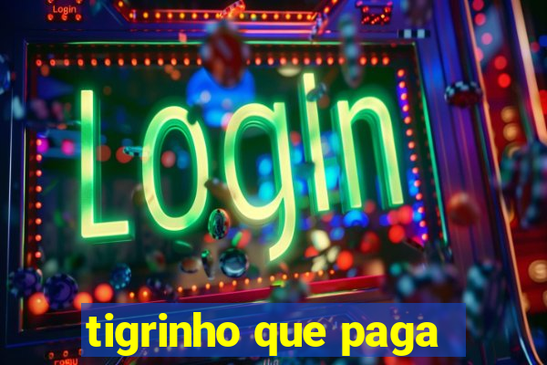 tigrinho que paga